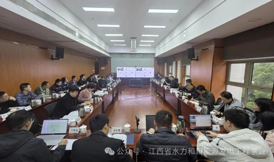 水新学会组织召开弋阳洪山一期60MW风电项目初步设计报告评审会